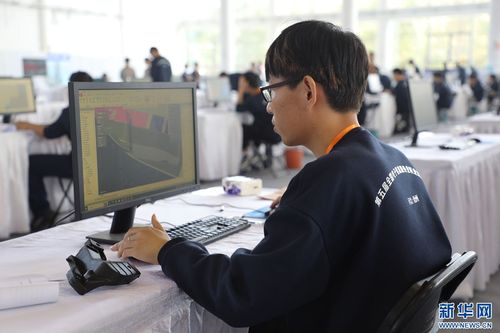 第五屆全國電子信息服務業(yè)職業(yè)技能競賽在滄州圓滿舉行，聚焦信息技術咨詢服務